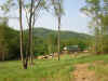 DSCN0508.JPG (206125 bytes)